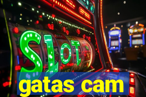 gatas cam